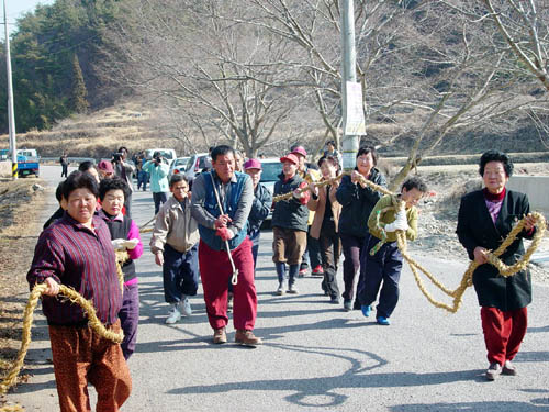 마을 사람들이 짐대로 사용할 나무를 끌고 오고 있다. 